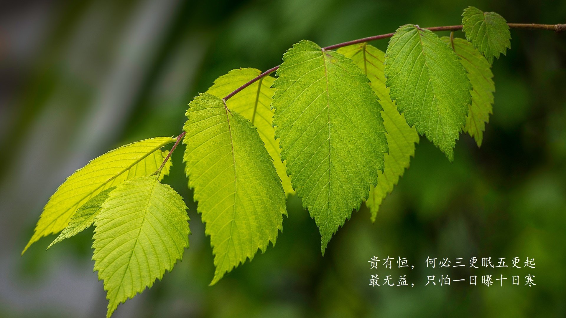 开云体育视频直播-全国青少年射箭训练营火热招生，开启箭术奇幻旅程，射箭青少年比赛