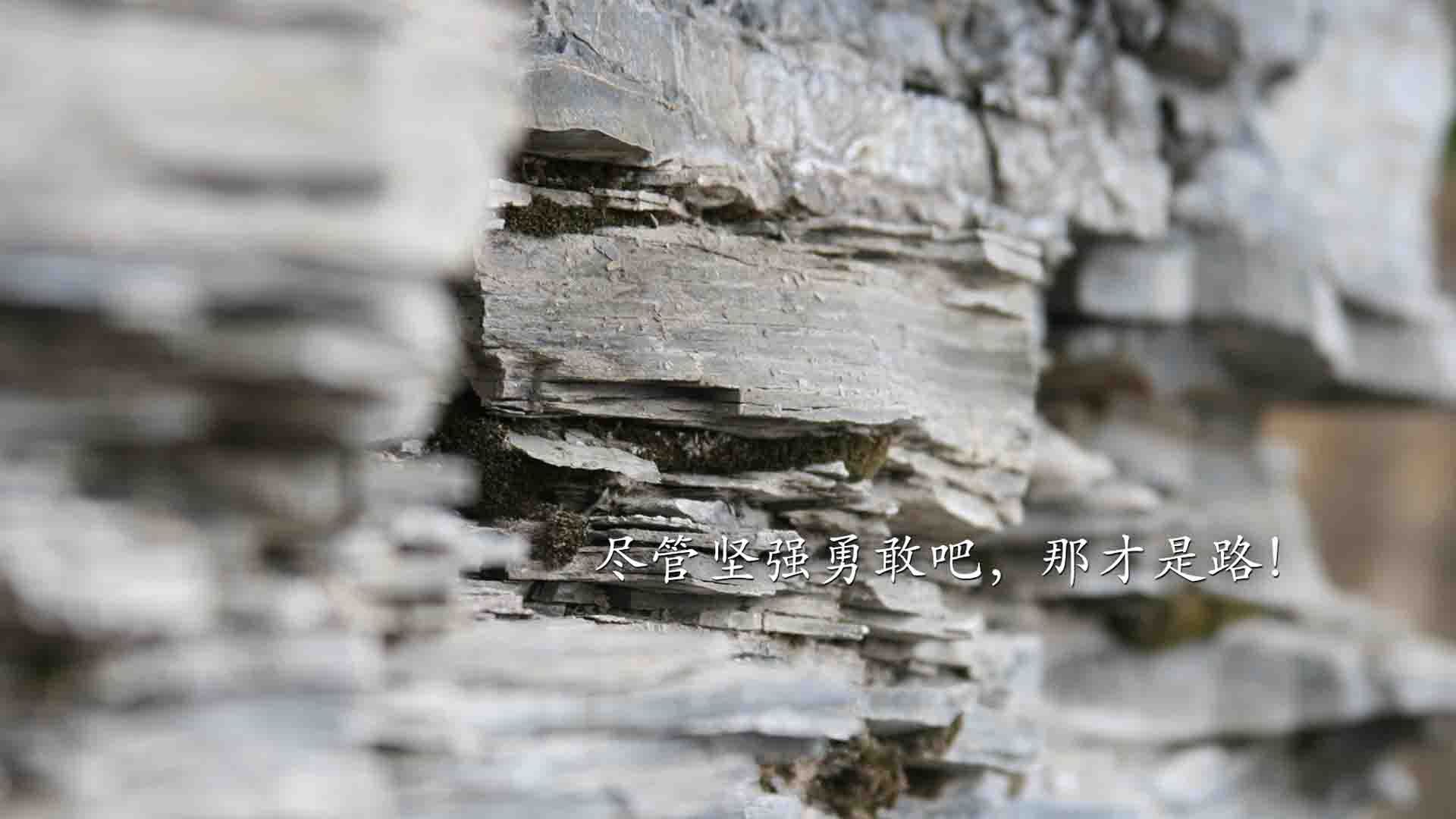 国足控球占优比赛中失分节点统计图,国足总结失败 低估对手