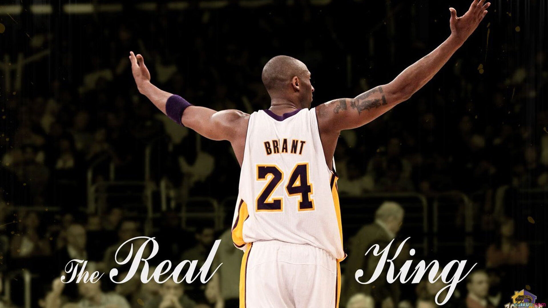 决赛气氛火爆，球迷激情四溢，决赛进球视频